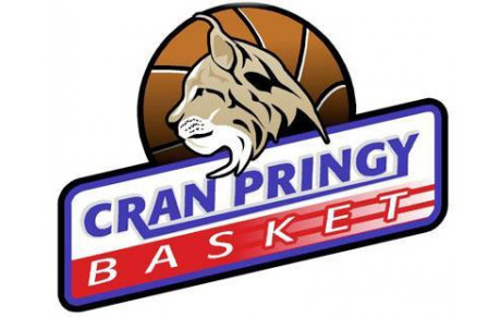 CRAN PRINGY BASKET - 2